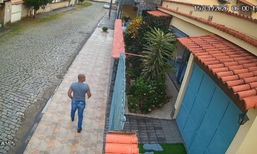 Secretaria de Proteção dos Animais acompanha caso de cachorro abandonado em Floriano